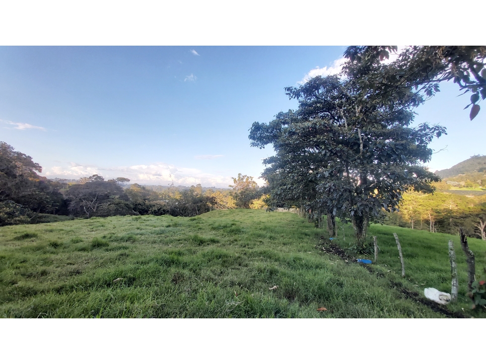 VENTA DE LOTE RIONEGRO ANTIOQUIA