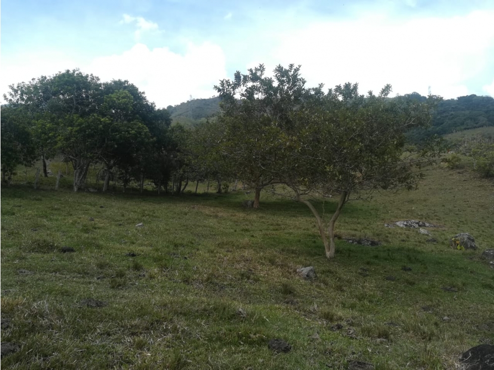 VENTA LOTE EL GUAYABO, BARBOSA ANT - 3