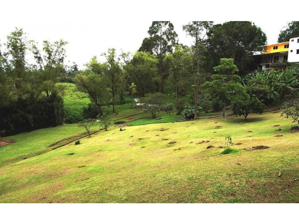 VENTA LOTE INDEPENDIENTE, ALTO DE LAS PALMAS, ENVIGADO — foto 6