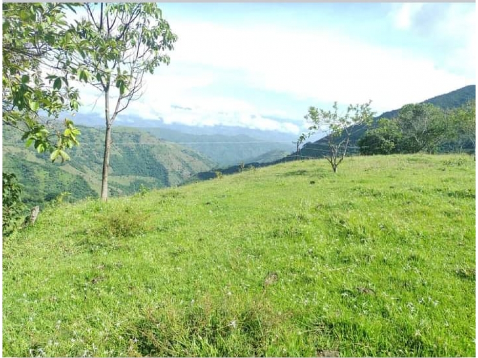 VENTA EXCELENTE LOTE, SAN JERÓNIMO-ANT - 2