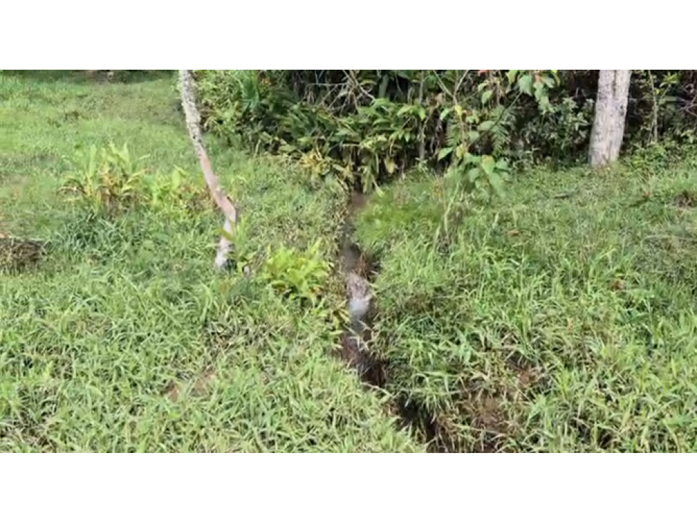 VEN/CAMBIO LOTE GUARNE ANTIOQUIA — foto 3