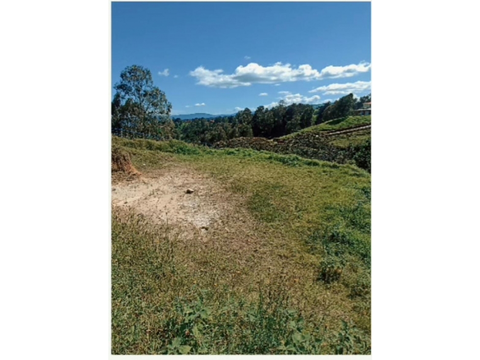 VENTA LOTE EL YARUMO LA CHINA, VÍA A SAN PEDRO DE LOS MILAGROS