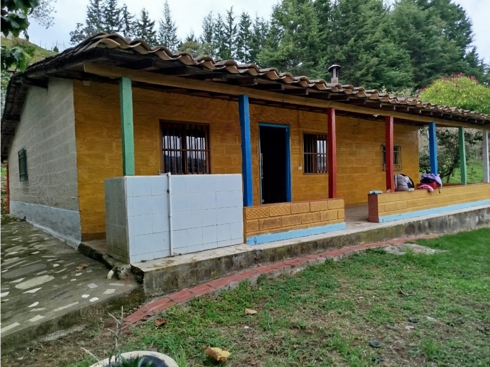 VENTA FINCA LA MOSQUITA, PARTE BAJA, GUARNE- ANT — foto 2