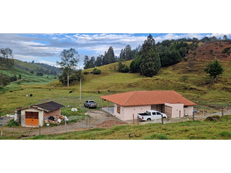 VENCAMBIO FINCA LA APRETEL, SAN PEDRO DE LOS MILAGROS, ANTIOQUIA — foto 6