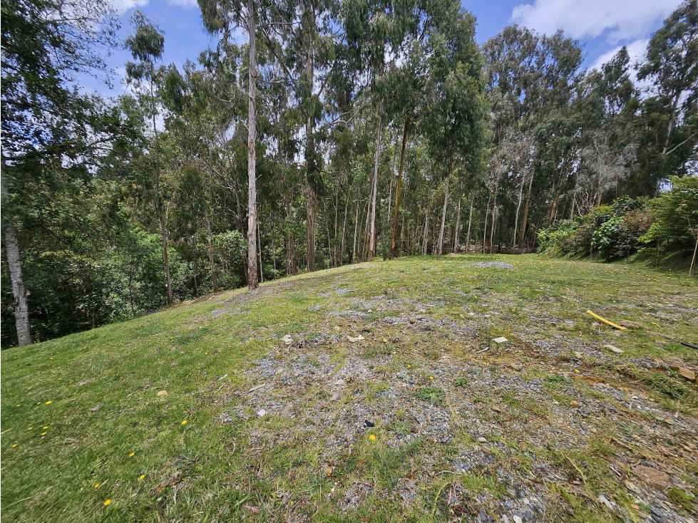 VENTA LOTES CAMPESTRES URBANIZADOS, ALTO DE LAS PALMAS, ENVIGADO — foto 2