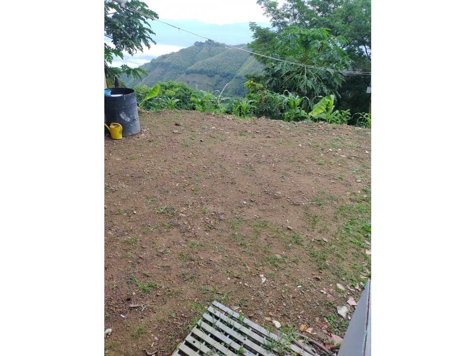 VENTA FINCA CON DOS CASAS, SOPETRAN — foto 4