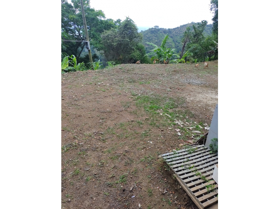 VENTA FINCA CON DOS CASAS, SOPETRAN — foto 3
