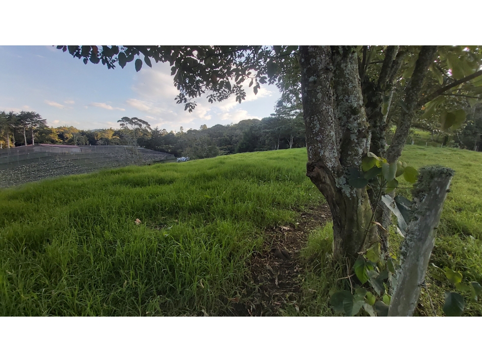 VENTA DE LOTE RIONEGRO ANTIOQUIA - 2