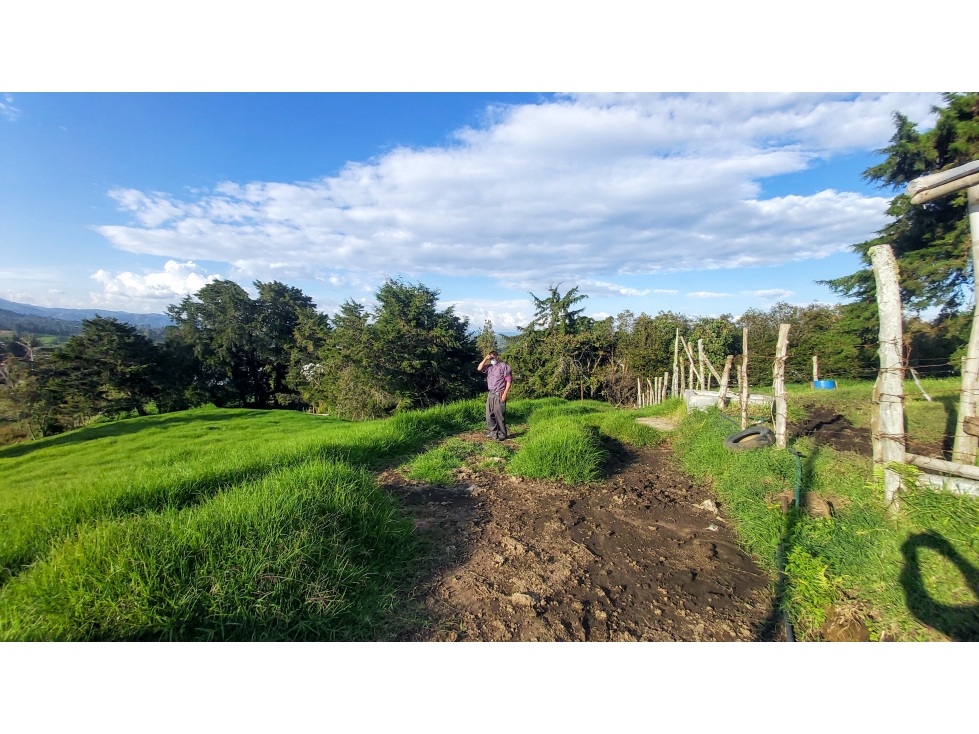 VENTA LOTE #3 PONTEZUELA, RIONEGRO ANTIOQUIA - 3