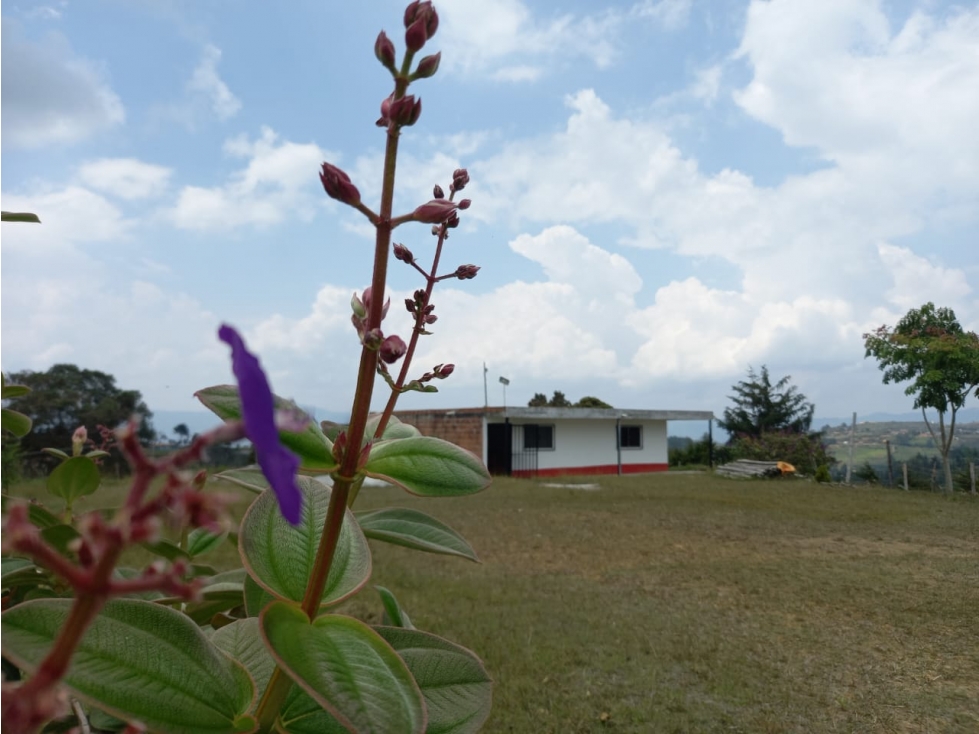 VENCAMBIO FINCA EL YARUMO, ENTRE GIRARDOTA Y GUARNE (proindiviso) — foto 2