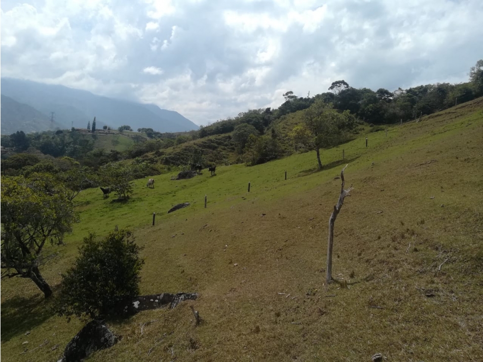 VENTA LOTE EL GUAYABO, BARBOSA ANT - 4