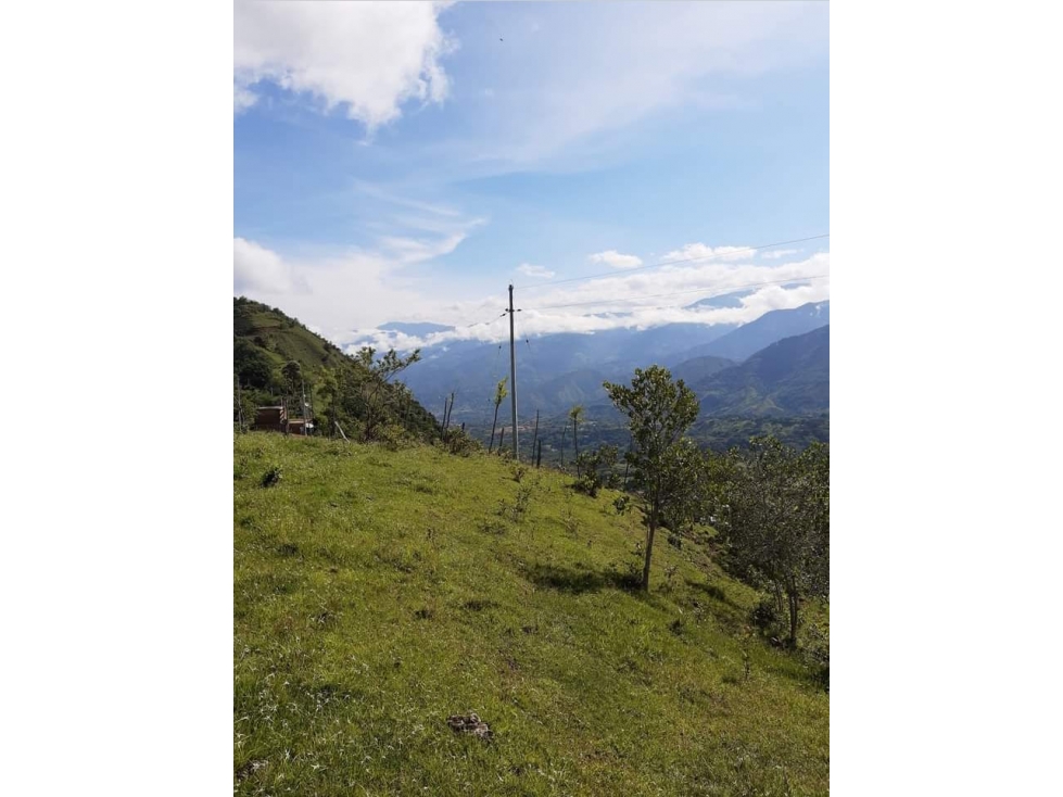 VENTA EXCELENTE LOTE, SAN JERÓNIMO-ANT - 3