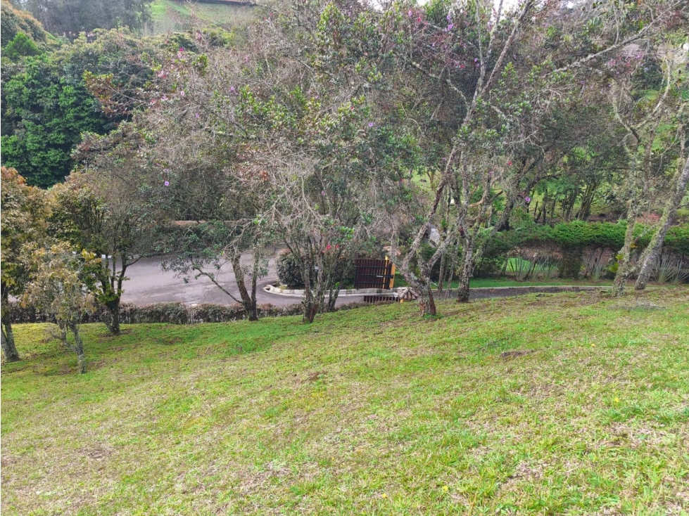VENTA LOTE EN UNIDAD CERRADA ALTO DE PALMAS, SECTOR ESCOBERO, ENVIGADO — foto 5