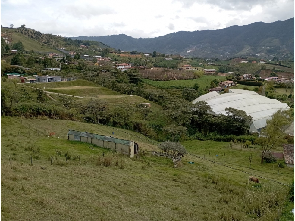 VENTA FINCA VEREDA LAS GARZONAS, EL CARMEN DE VIBORAL, ANTIOQUIA — foto 5