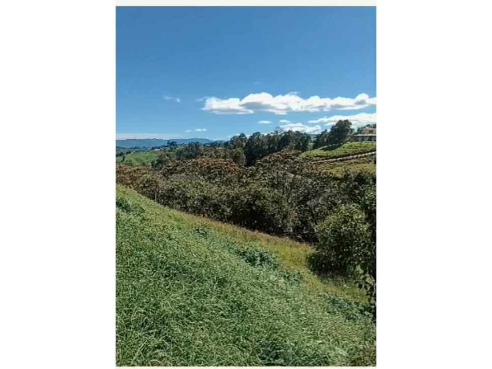 VENTA LOTE EL YARUMO LA CHINA, VÍA A SAN PEDRO DE LOS MILAGROS — foto 2