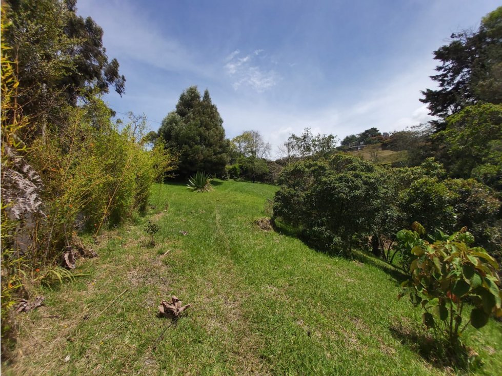 VENTA LOTE ALTO DE PALMAS-RINCON ALTO, ENVIGADO - 3