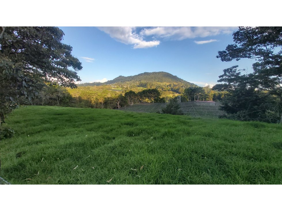 VENTA DE LOTE RIONEGRO ANTIOQUIA - 3