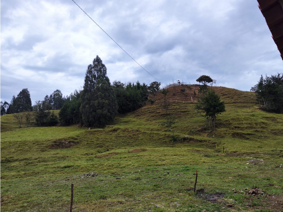 VENCAMBIO FINCA LA APRETEL, SAN PEDRO DE LOS MILAGROS, ANTIOQUIA — foto 2