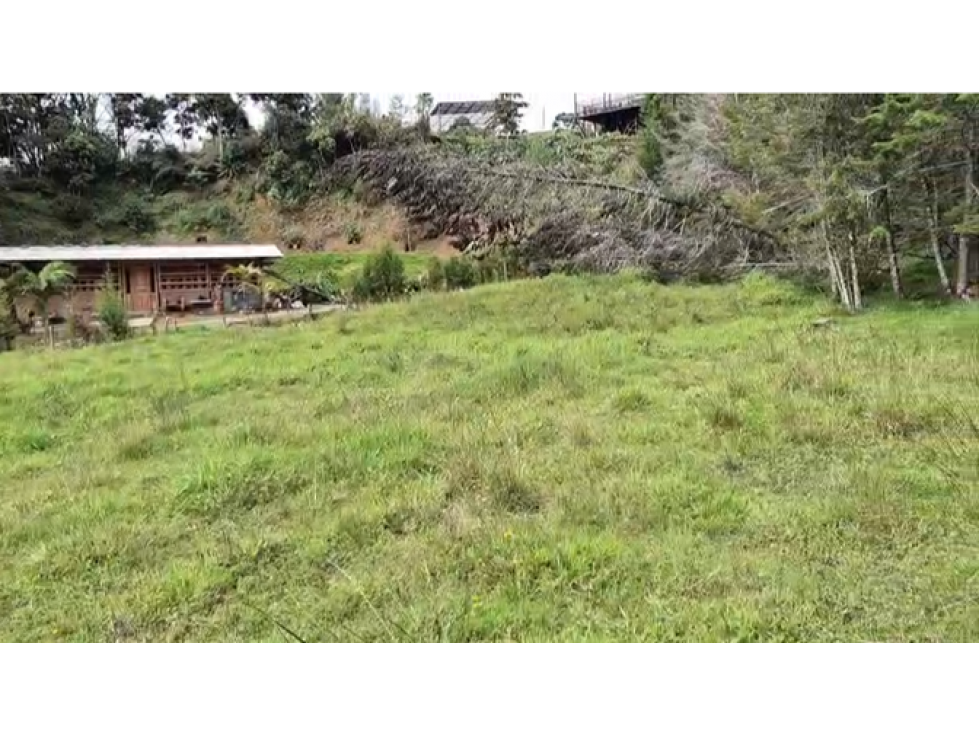 VEN/CAMBIO LOTE GUARNE ANTIOQUIA — foto 2