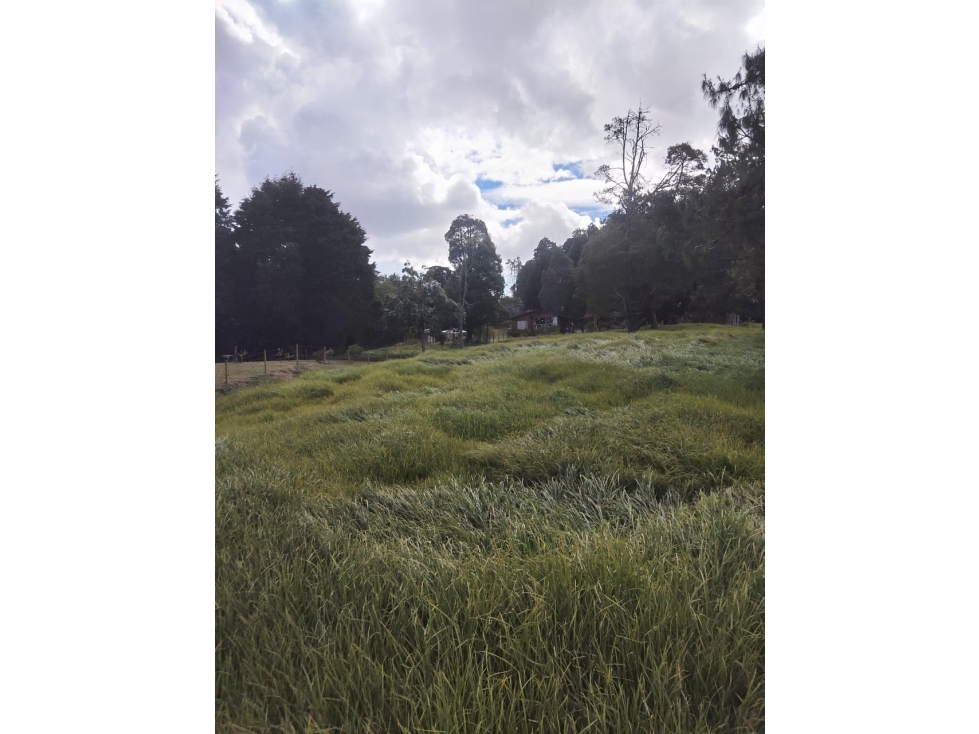 VENTA LOTE PIEDRAS BLANCAS GUARNE, ANTIOQUIA — foto 4