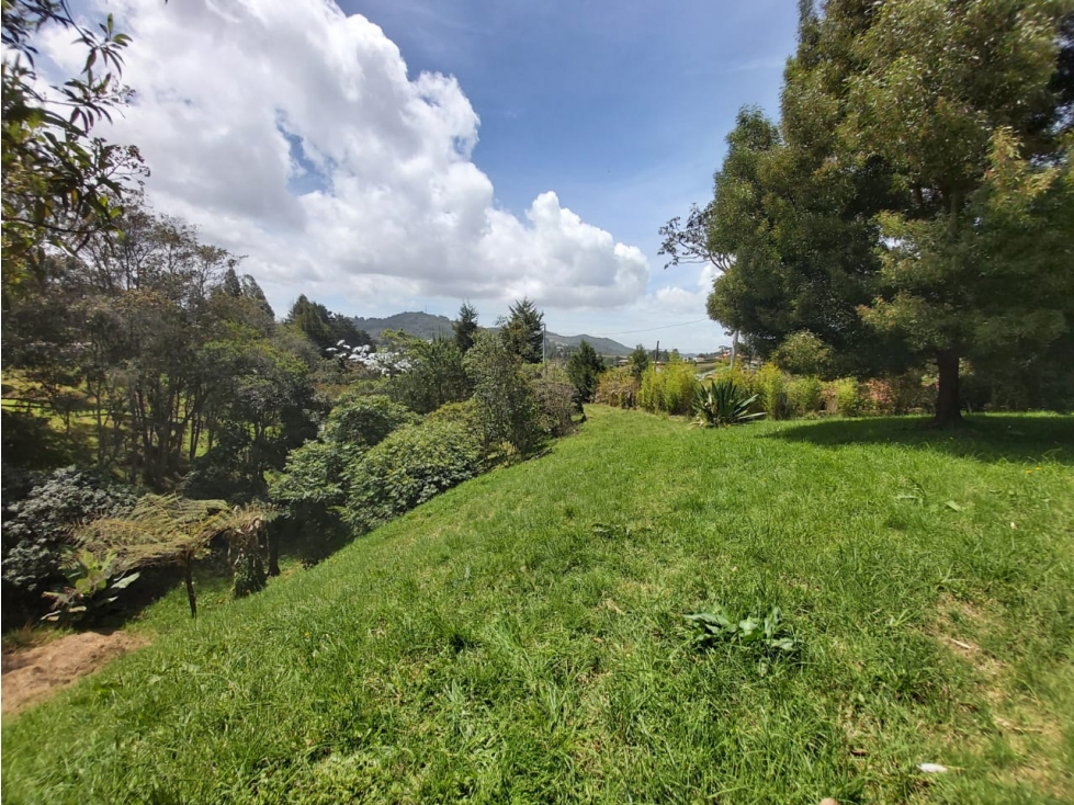 VENTA LOTE ALTO DE PALMAS-RINCON ALTO, ENVIGADO - 4