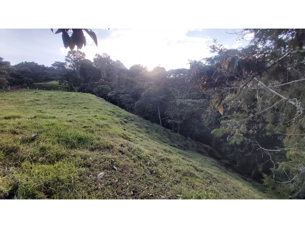 VENTA DE LOTE RIONEGRO ANTIOQUIA - 4