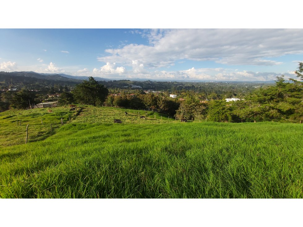 VENTA DE LOTE #2 PONTEZUELA, RIONEGRO ANTIOQUIA - 5
