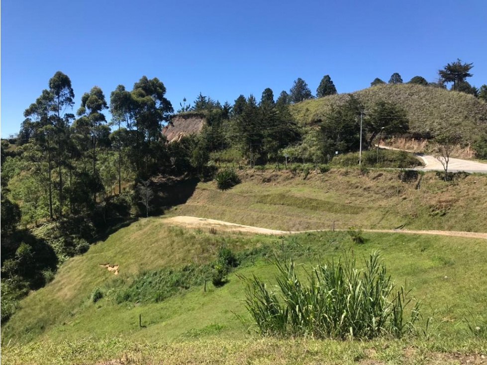 VENTA LOTE SAN VICENTE FERRER, ANTIOQUIA — foto 5