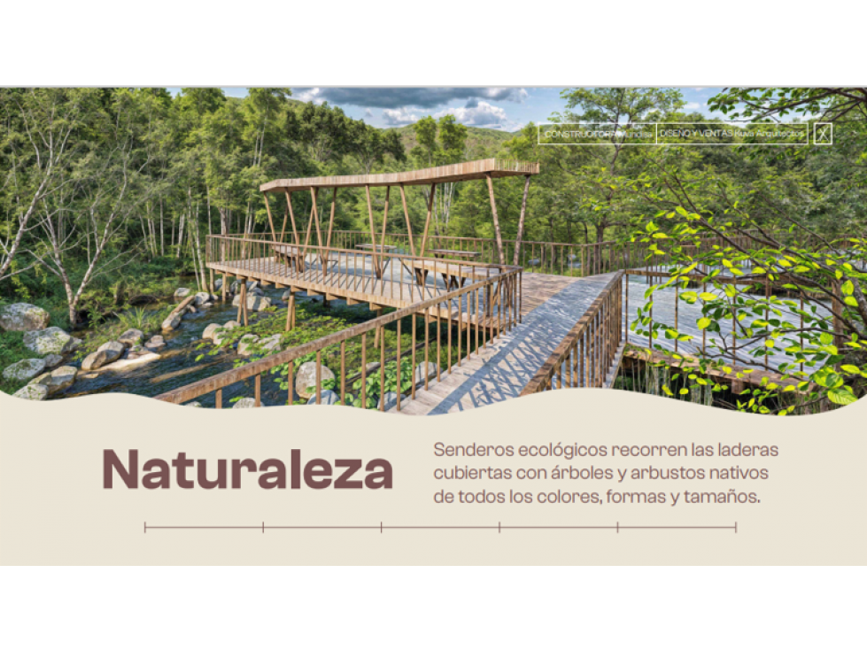 VENTA LOTES PARCELACIÓN APOLINAR, SAN JERÓNIMO, ANTIOQUIA - 5