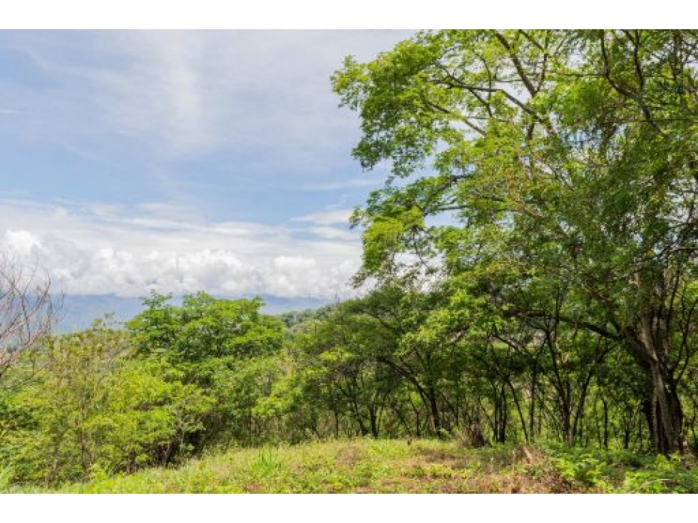 VEN/CAMBIO LOTE PARCELACIÓN LA RESERVA VILLAS CAMPESTRES, SOPETRÁN — foto 3