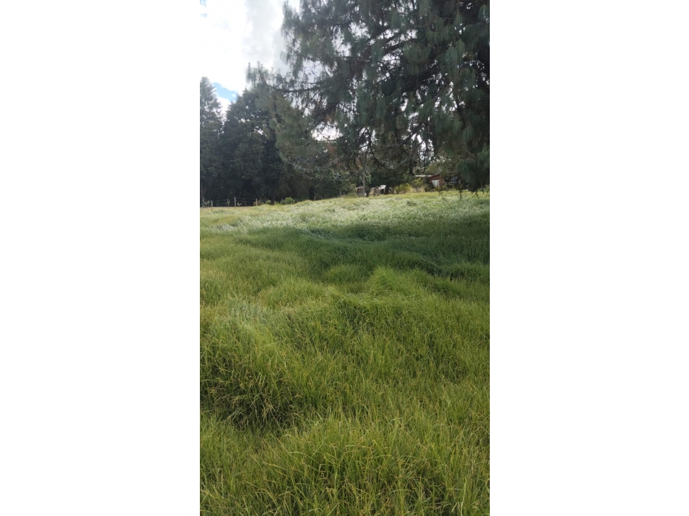 VENTA LOTE PIEDRAS BLANCAS GUARNE, ANTIOQUIA — foto 5