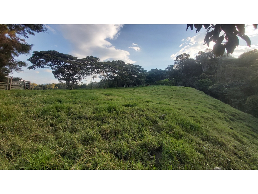 VENTA DE LOTE RIONEGRO ANTIOQUIA - 5