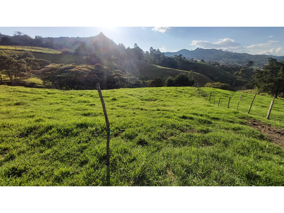 VENTA DE LOTE #2 PONTEZUELA, RIONEGRO ANTIOQUIA - 6