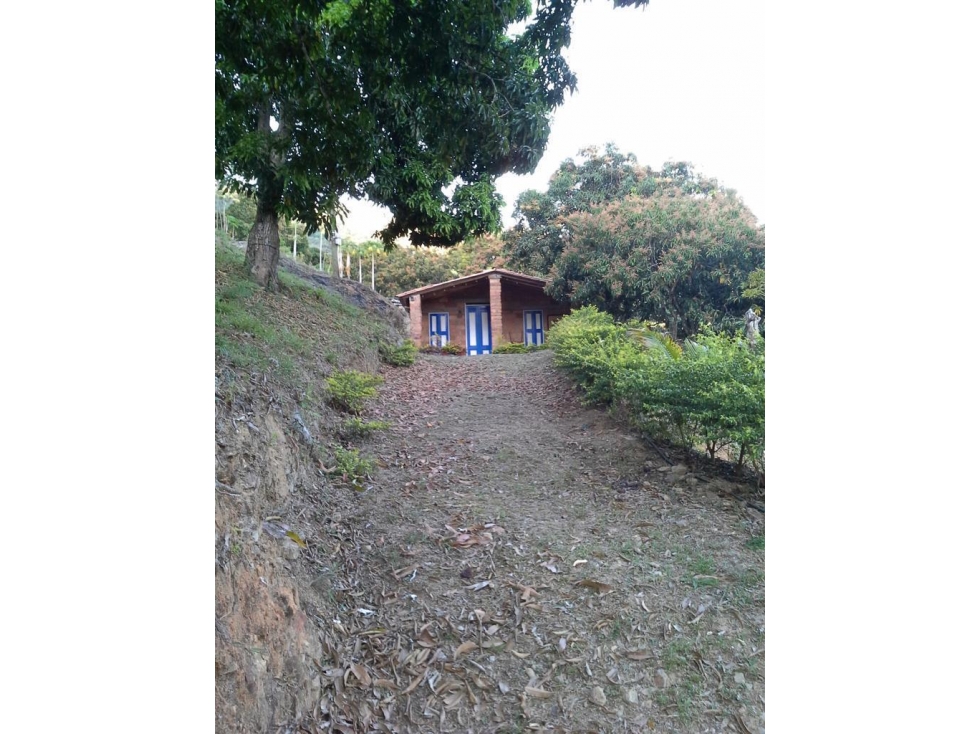 VENCAMBIO FINCA CON DOS CASAS, SOPETRÁN — foto 4