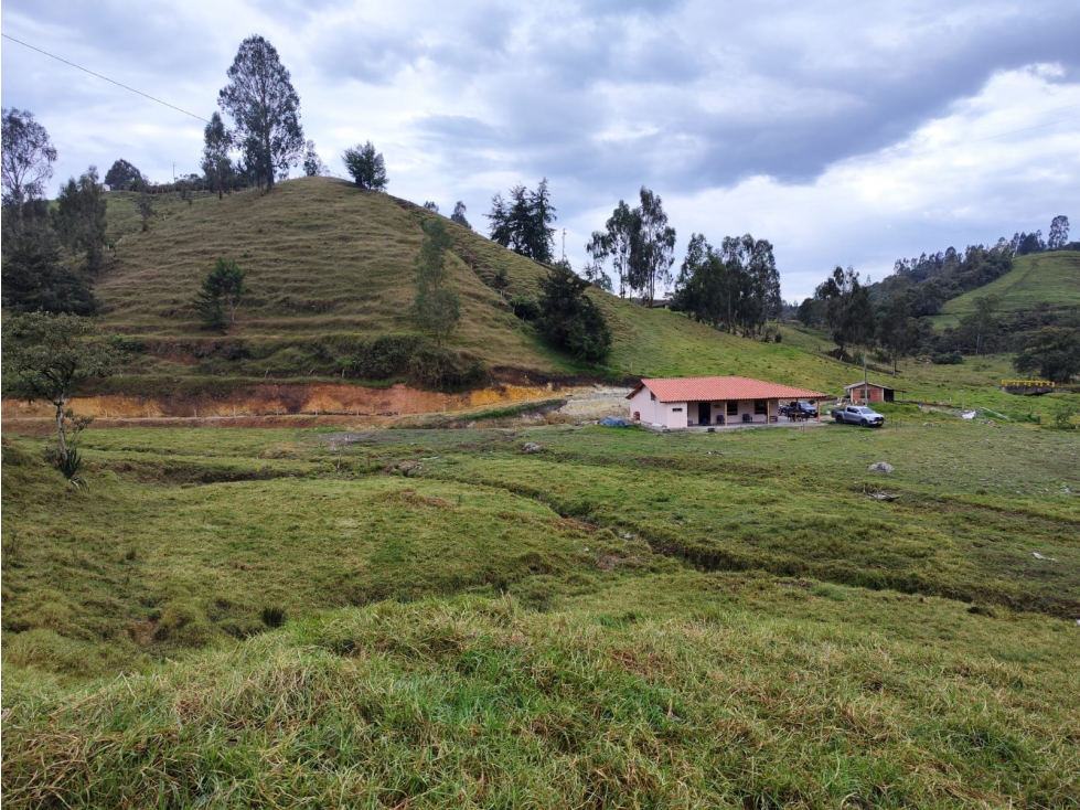 VENCAMBIO FINCA LA APRETEL, SAN PEDRO DE LOS MILAGROS, ANTIOQUIA