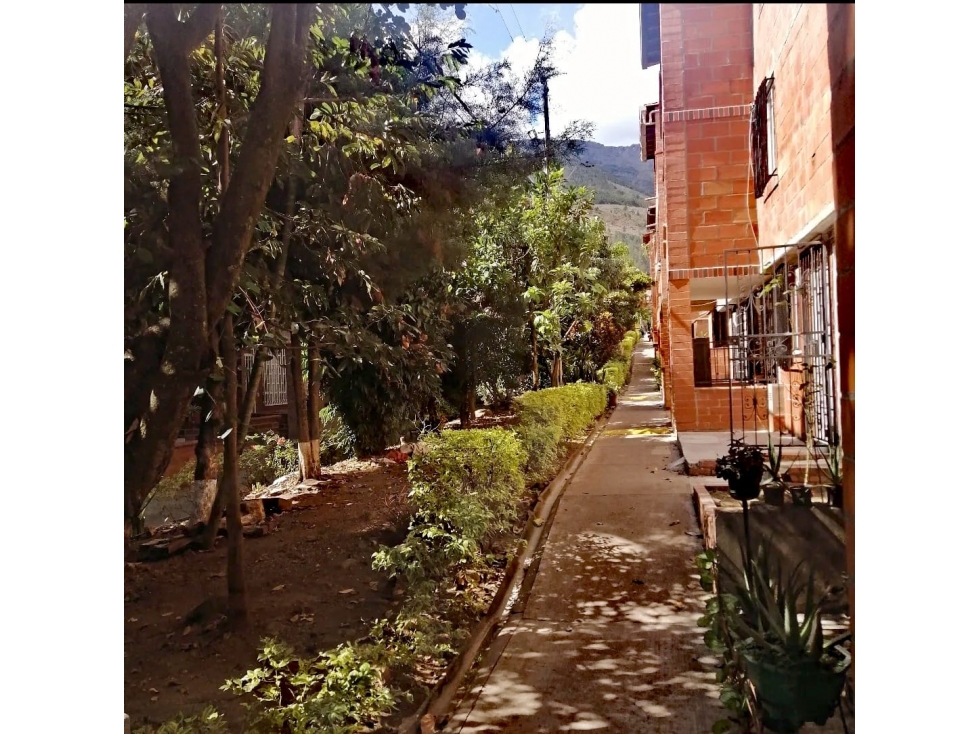 VENTA APARTAMENTO DE CUATRO PISOS, ALMENDROS DE TERRANOVA, BELLO — foto 6