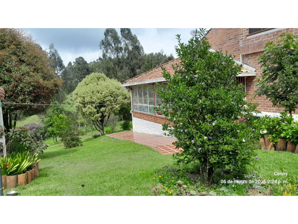 VENTA FINCA ALTO DEL INGENIO, LA PRETEL, SAN PEDRO DE LOS MILAGROS — foto 5