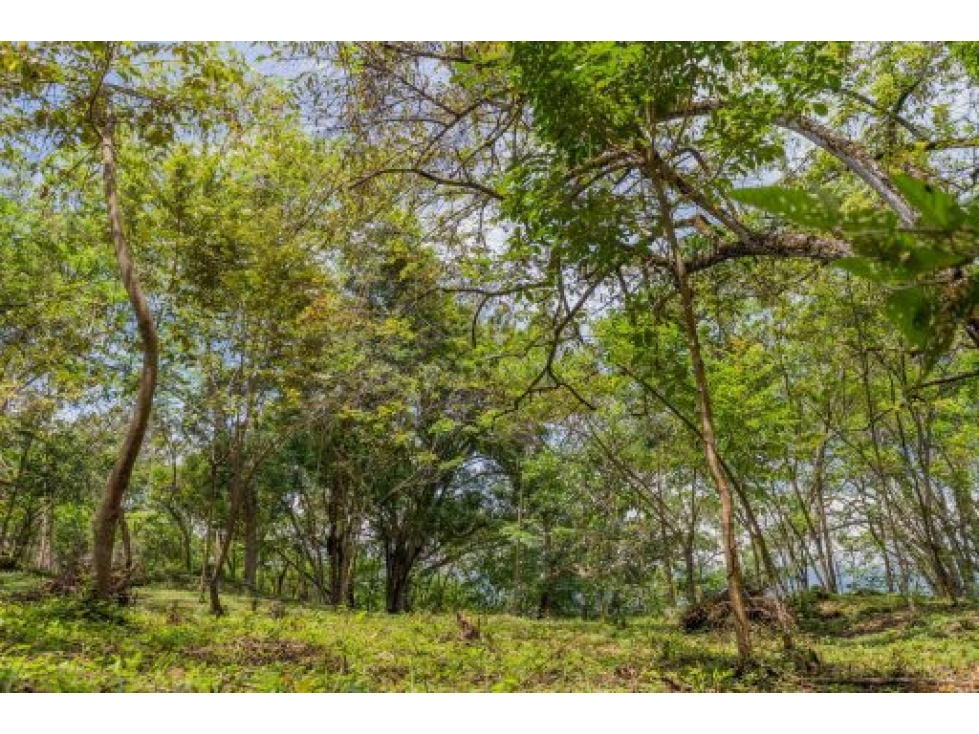 VEN/CAMBIO LOTE PARCELACIÓN LA RESERVA VILLAS CAMPESTRES, SOPETRÁN — foto 4