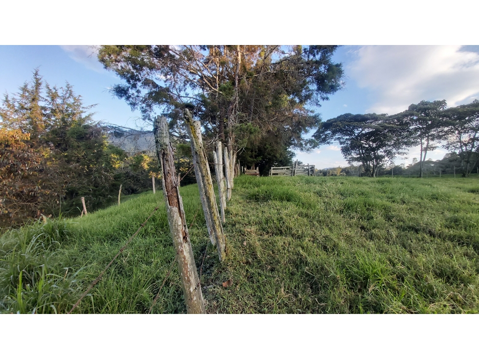 VENTA DE LOTE RIONEGRO ANTIOQUIA - 6