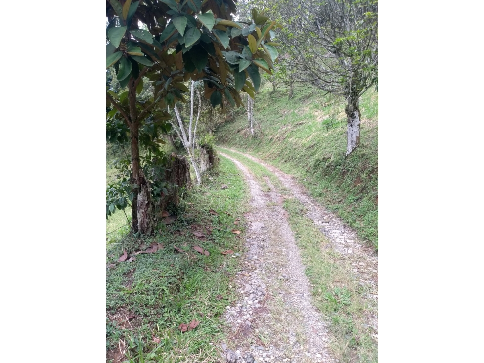 VENTA LOTE VEREDA POPALITO BARBOSA, ANTIOQUIA — foto 6