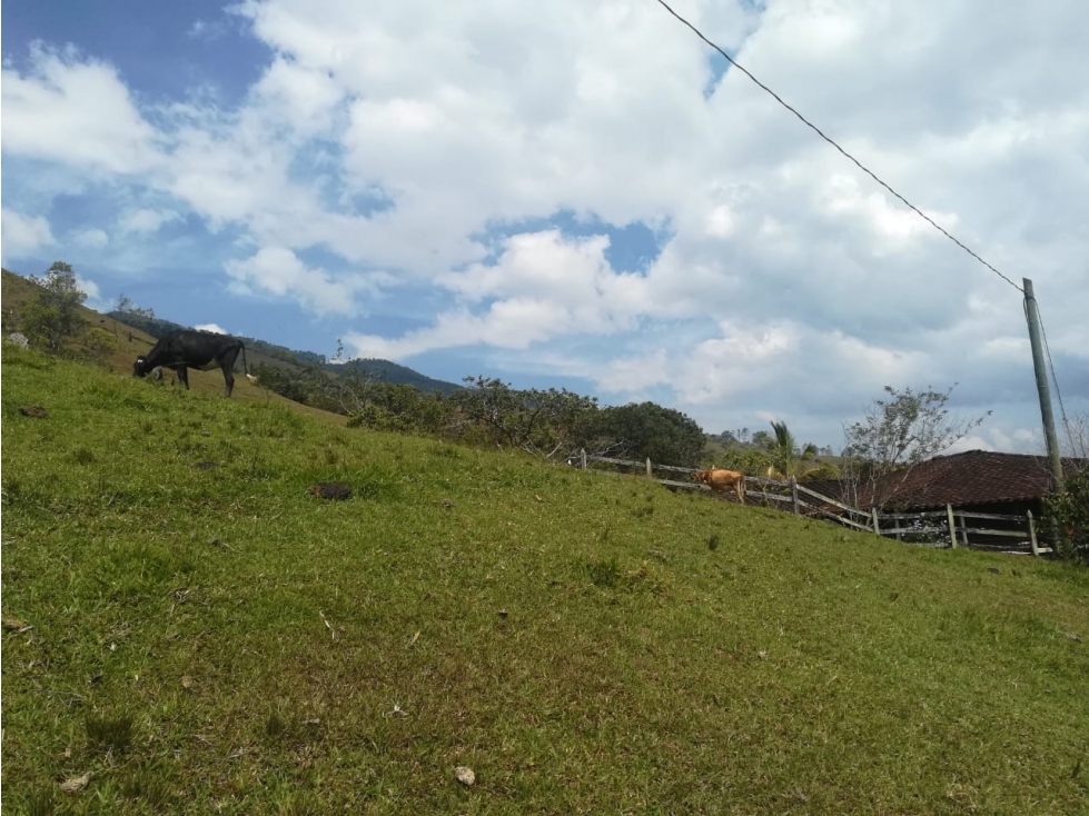 VENTA LOTE EL GUAYABO, BARBOSA ANT - 2