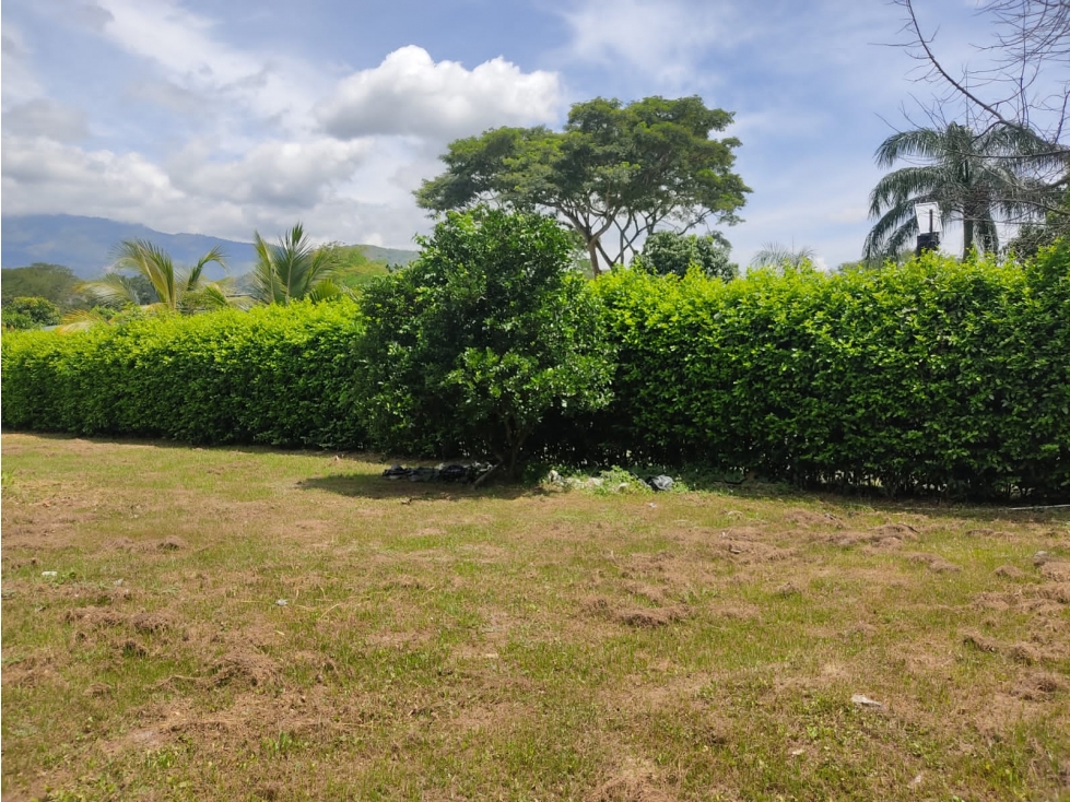 VENTA LOTE PLANO EL PALMAR, SANTA FE DE ANTIOQUIA. - 5