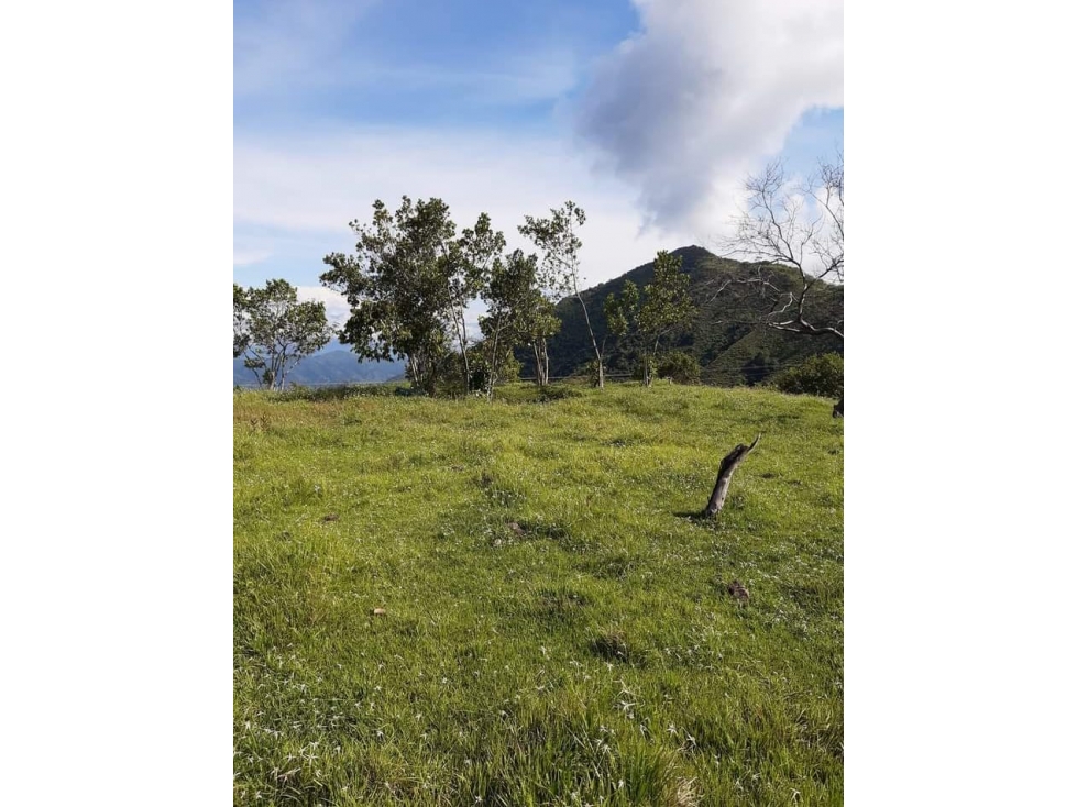 VENTA EXCELENTE LOTE, SAN JERÓNIMO-ANT - 5