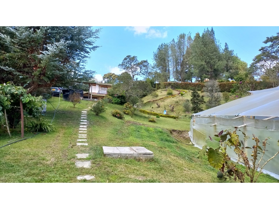VENTA CASA LOTE, CON DOS NACIMIENTOS, GUARNE — foto 2
