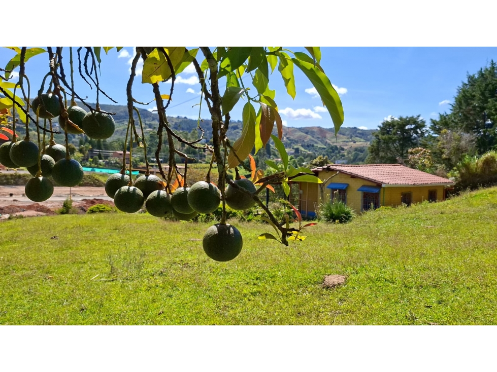 VENTA FINCA LA MOSQUITA, PARTE BAJA, GUARNE- ANT — foto 3