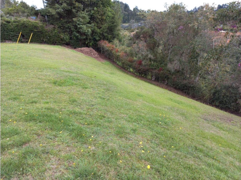 VENTA LOTE INDEPENDIENTE, ALTO DE LAS PALMAS, ENVIGADO — foto 5