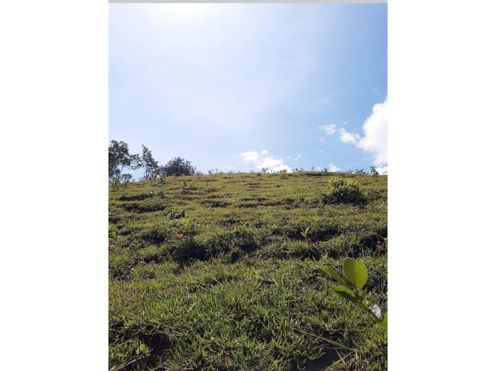 VENTA EXCELENTE LOTE, SAN JERÓNIMO-ANT - 6