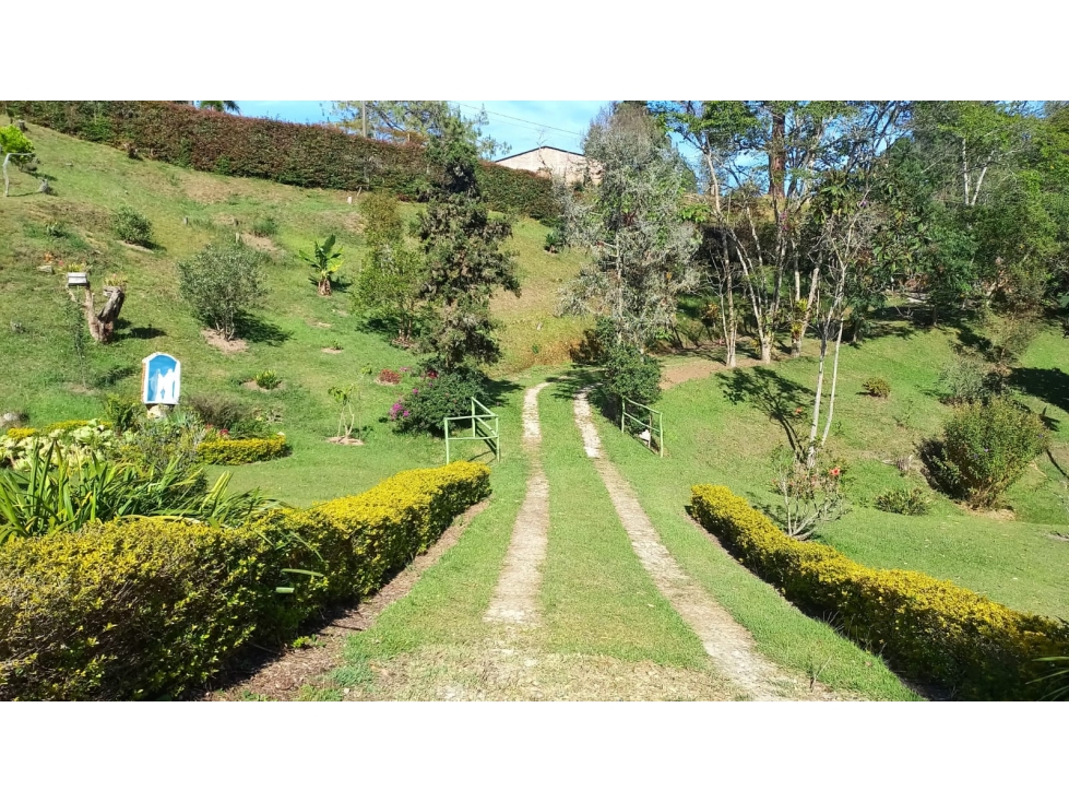 VENTA CASA LOTE, CON DOS NACIMIENTOS, GUARNE — foto 3