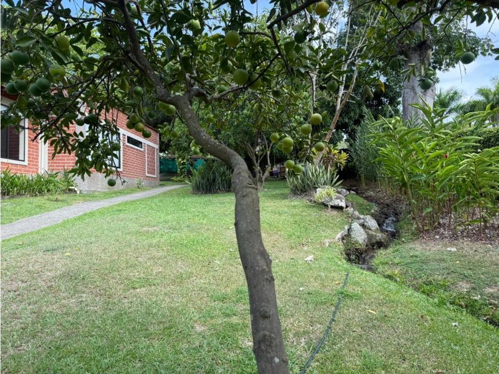 VENTA FINCA INDEPENDIENTE SAN JERÓNIMO, ANTIOQUIA — foto 2