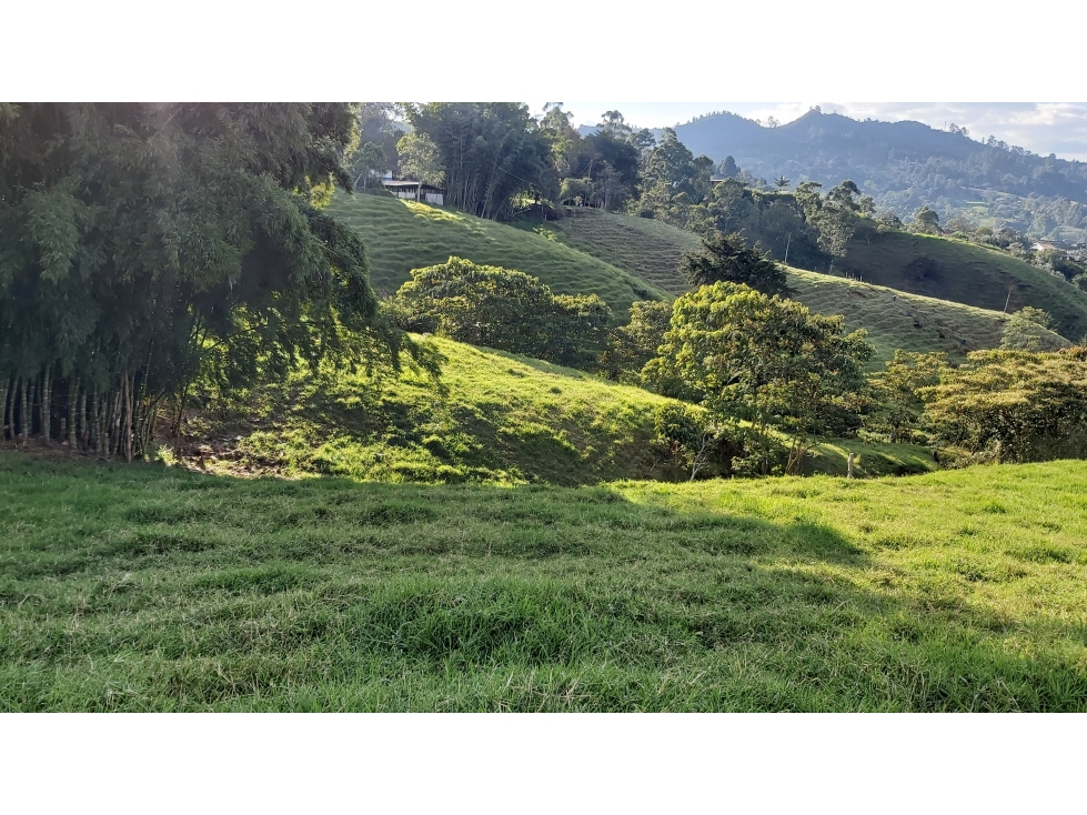 VENTA LOTE #3 PONTEZUELA, RIONEGRO ANTIOQUIA